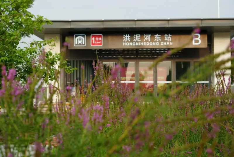点击打开原图